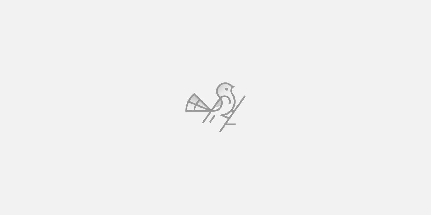 Bird logo design - Dainogo