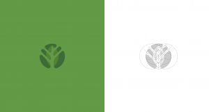 Onatural logo design using golden ratio