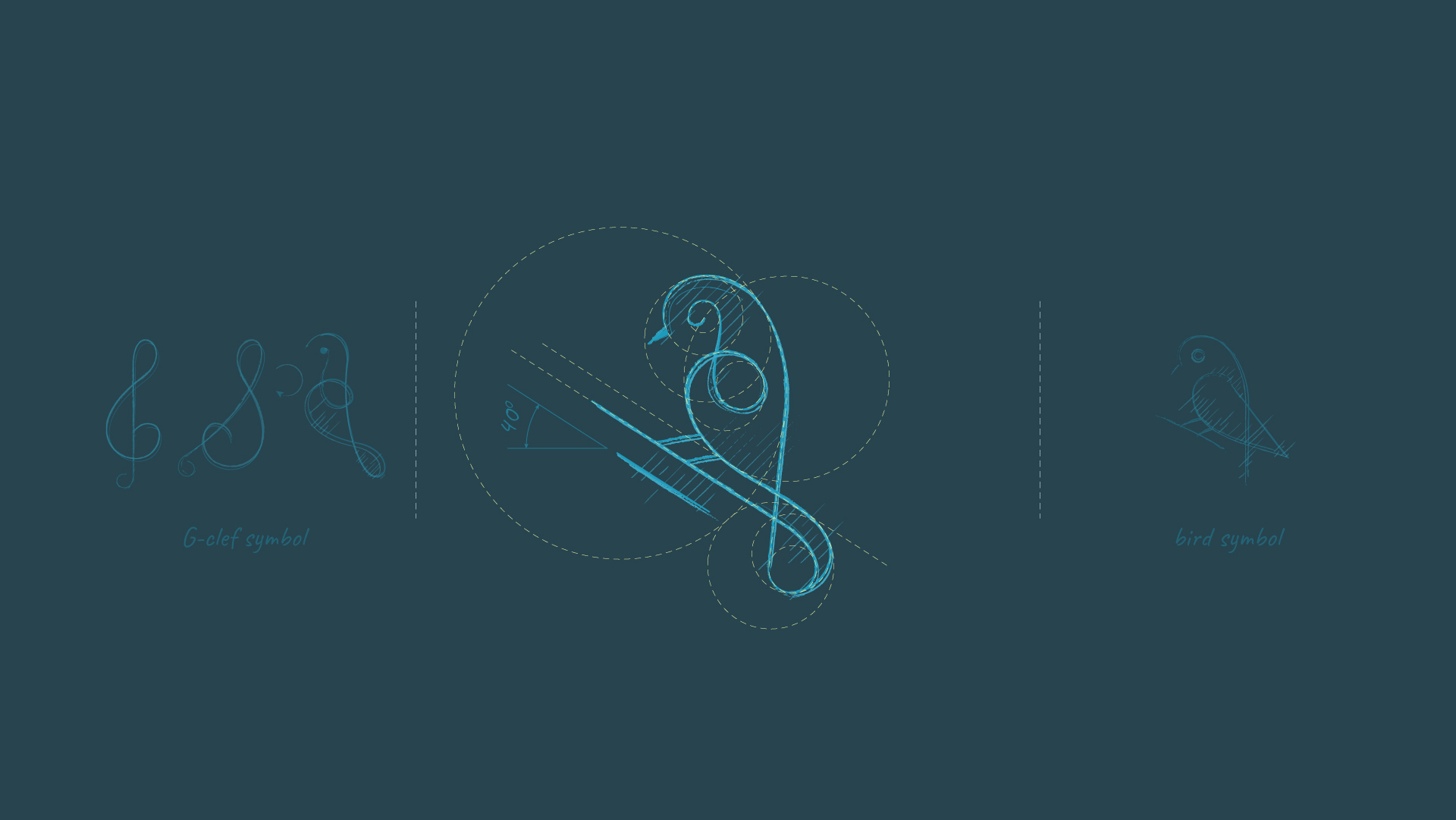 Bird logo design - ideas and sketch