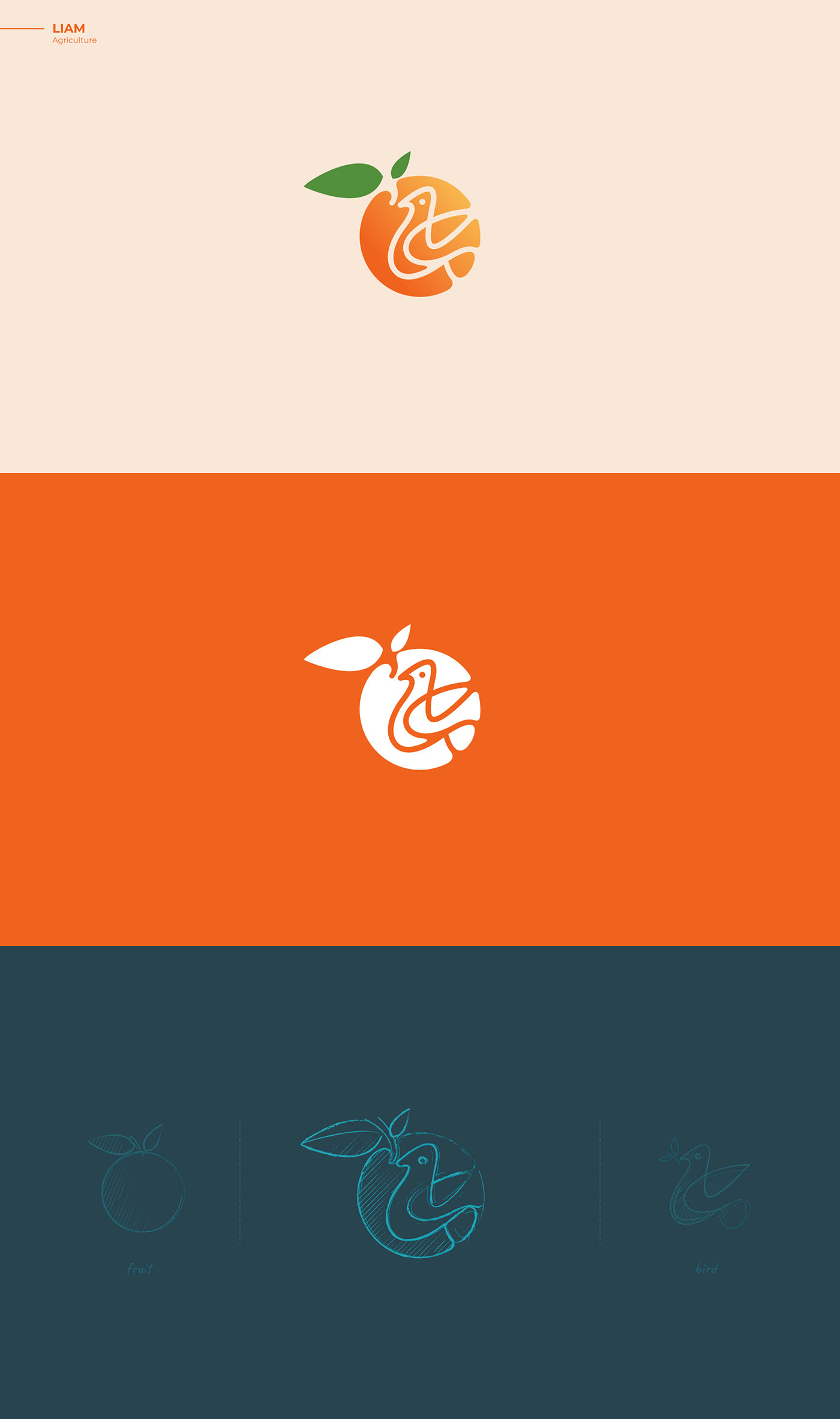 Fruit Mark - Agriculture logo design - Bird logo